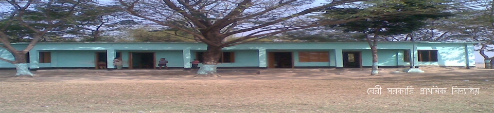 বেরী সরকারি প্রাথমিক বিদ্যালয়