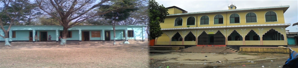 বেরী সরকারি প্রাথমিক বিদ্যালয় ও রাজনপুর জামে মসজিদ