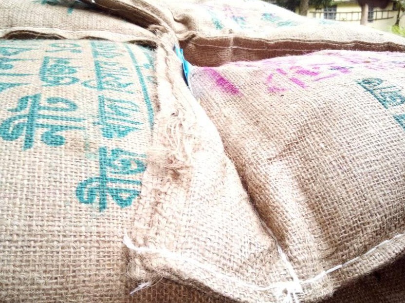 10 KG Pack Rice Seeds
